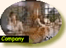 Rare Earth, Silica Gel, and Plastic Supplier
